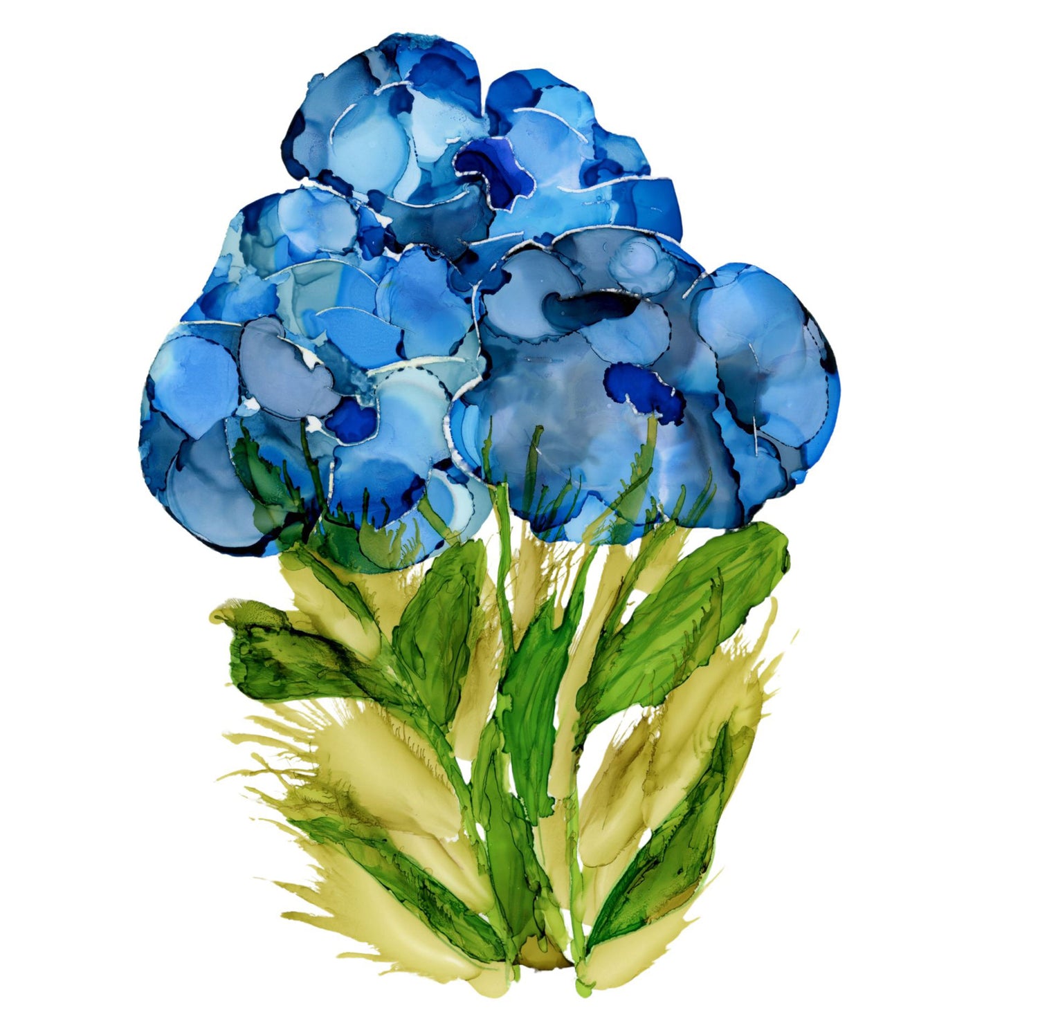 Bluebonnet