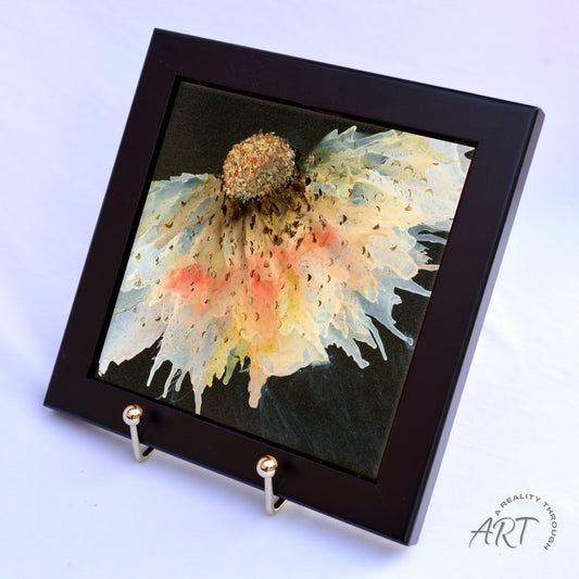 Content 6"x6" Framed (Black)