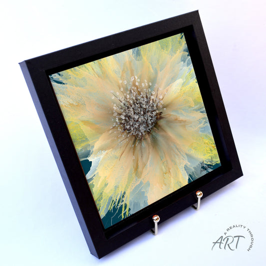 Burst 8"x8" Framed