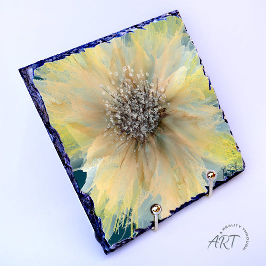 Burst 8"x8" Slate Trivet
