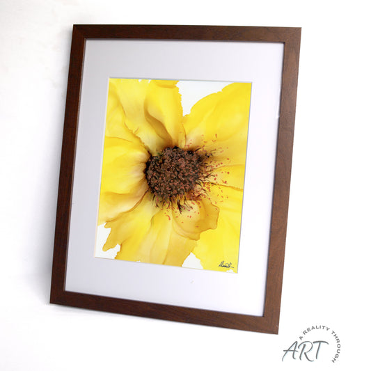 Sunflower 12"x15" Art Print (Walnut Frame)